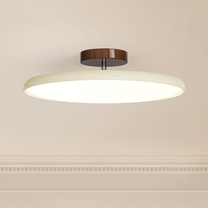 Disc Adjustable Ceiling Lamp