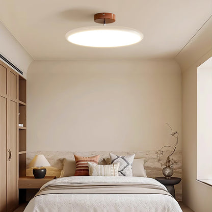 Disc Adjustable Ceiling Lamp