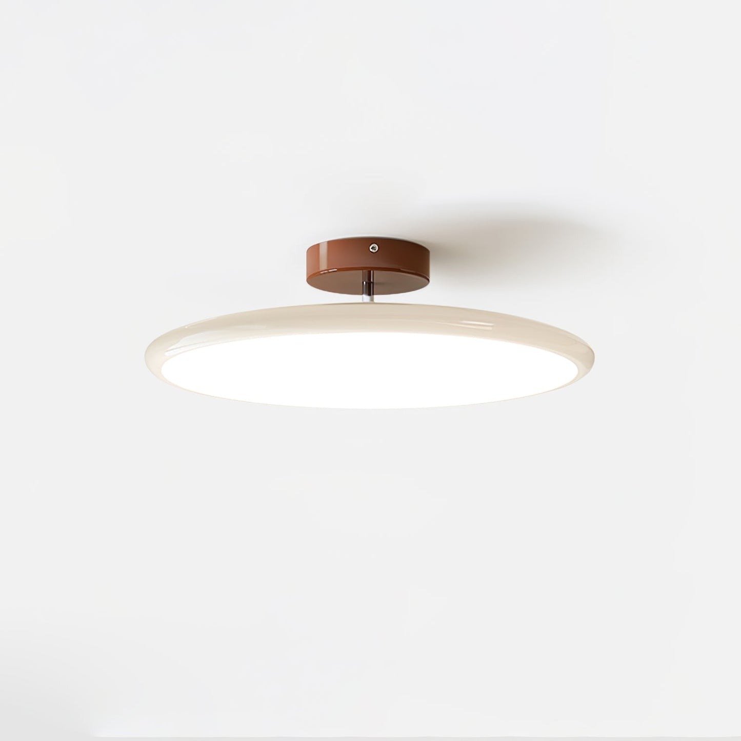 Disc Adjustable Ceiling Lamp