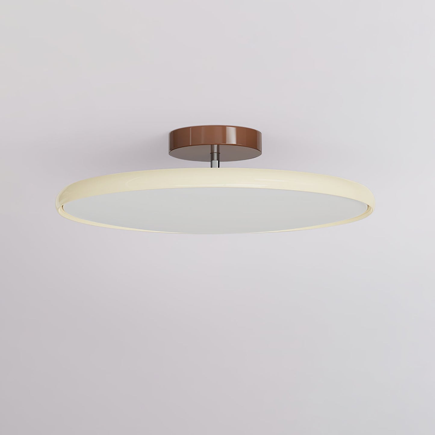 Disc Adjustable Ceiling Lamp
