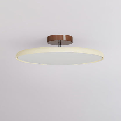 Disc Adjustable Ceiling Lamp