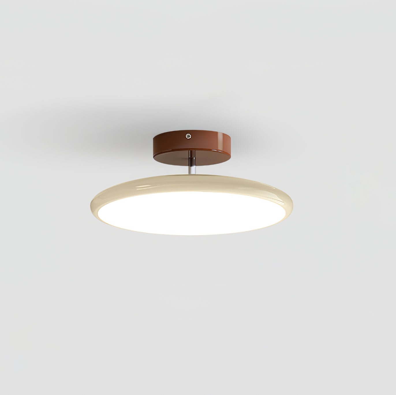 Disc Adjustable Ceiling Lamp