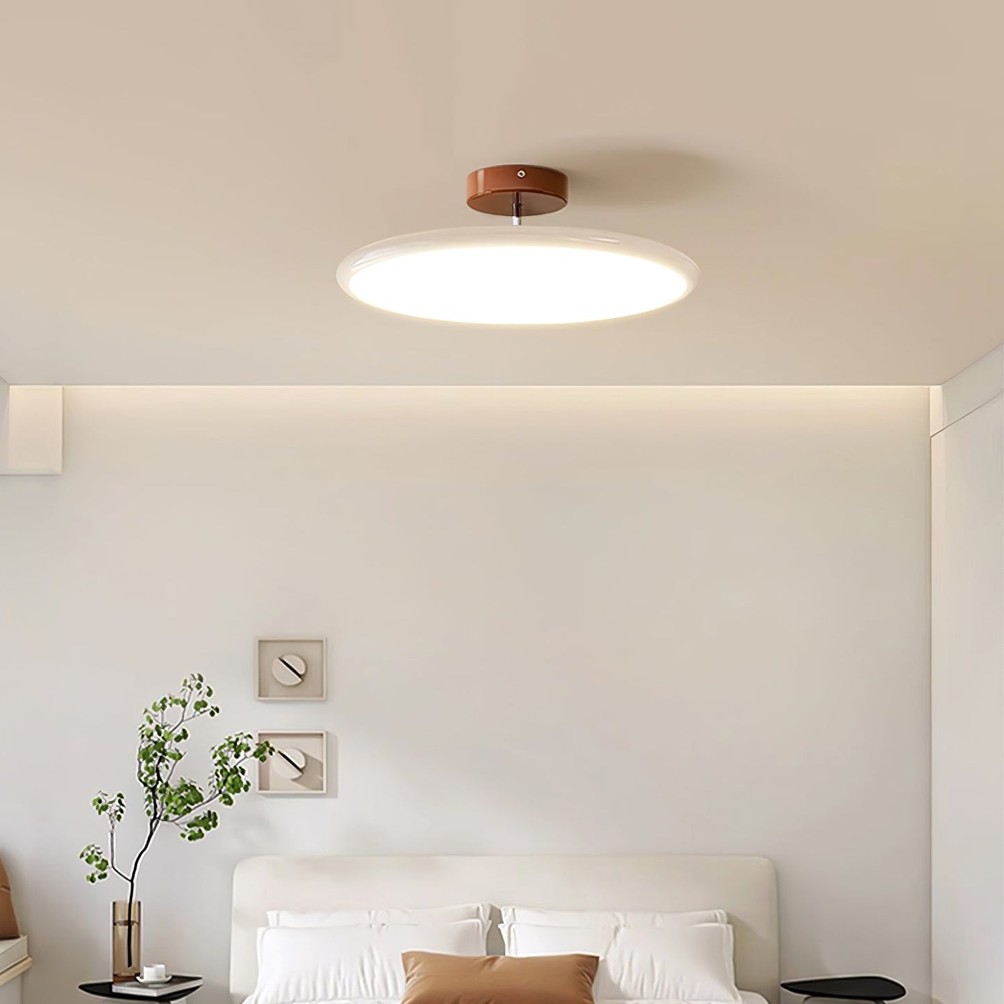 Disc Adjustable Ceiling Lamp