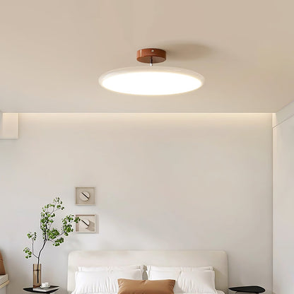 Disc Adjustable Ceiling Lamp