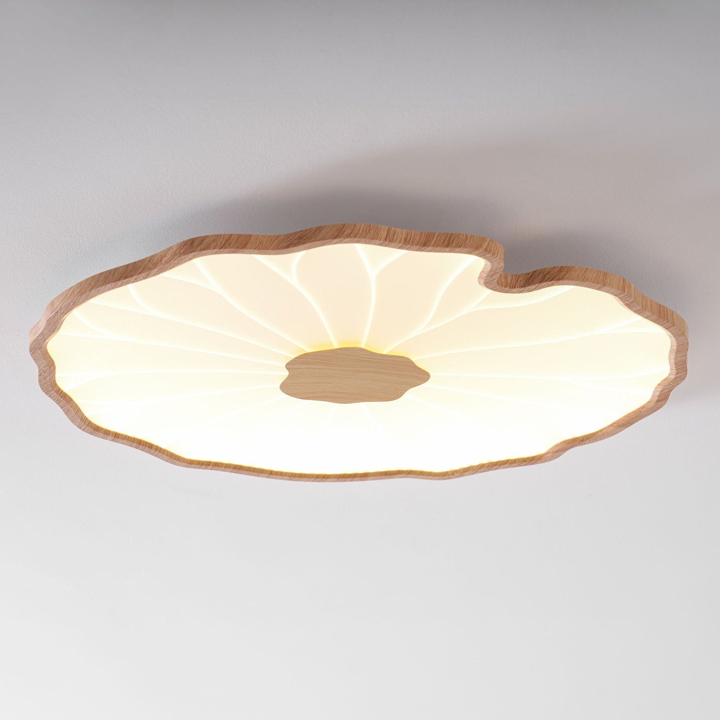 Organic Curve Ceiling Light