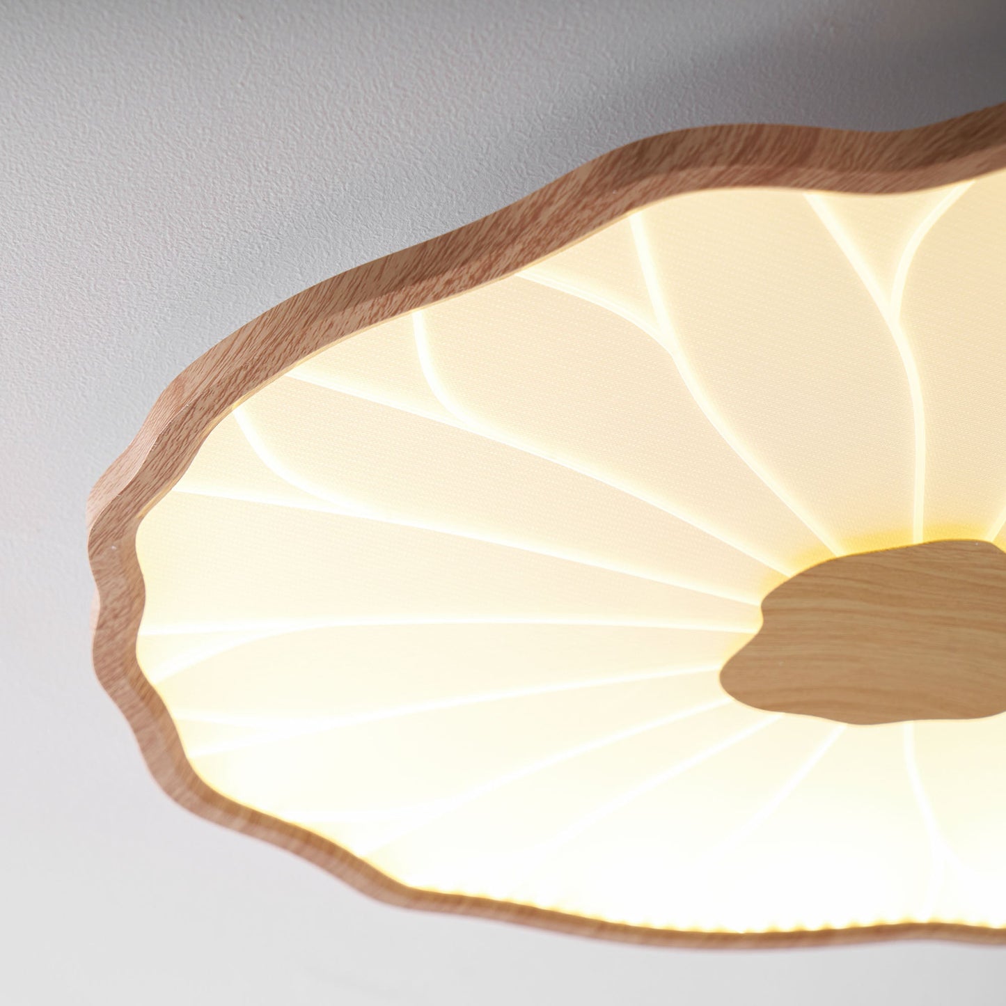 Organic Curve Ceiling Light