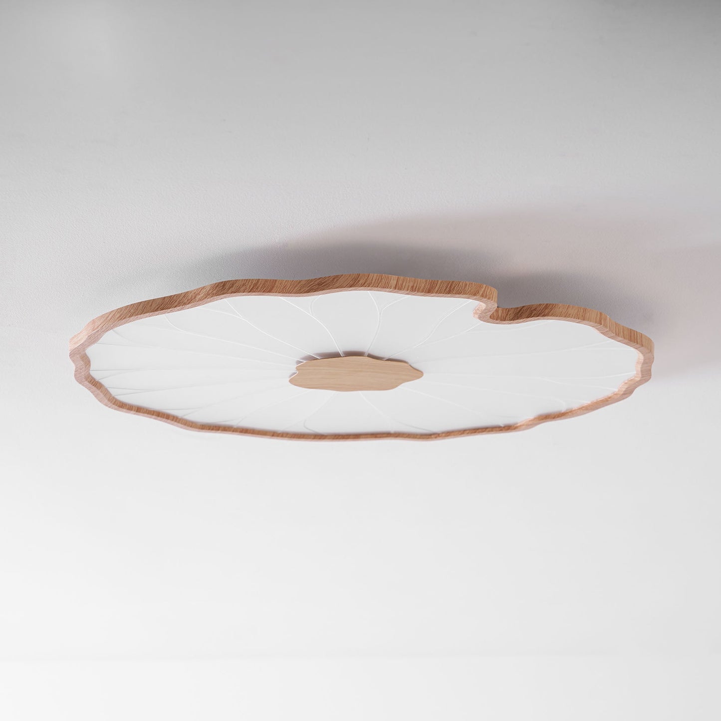 Organic Curve Ceiling Light