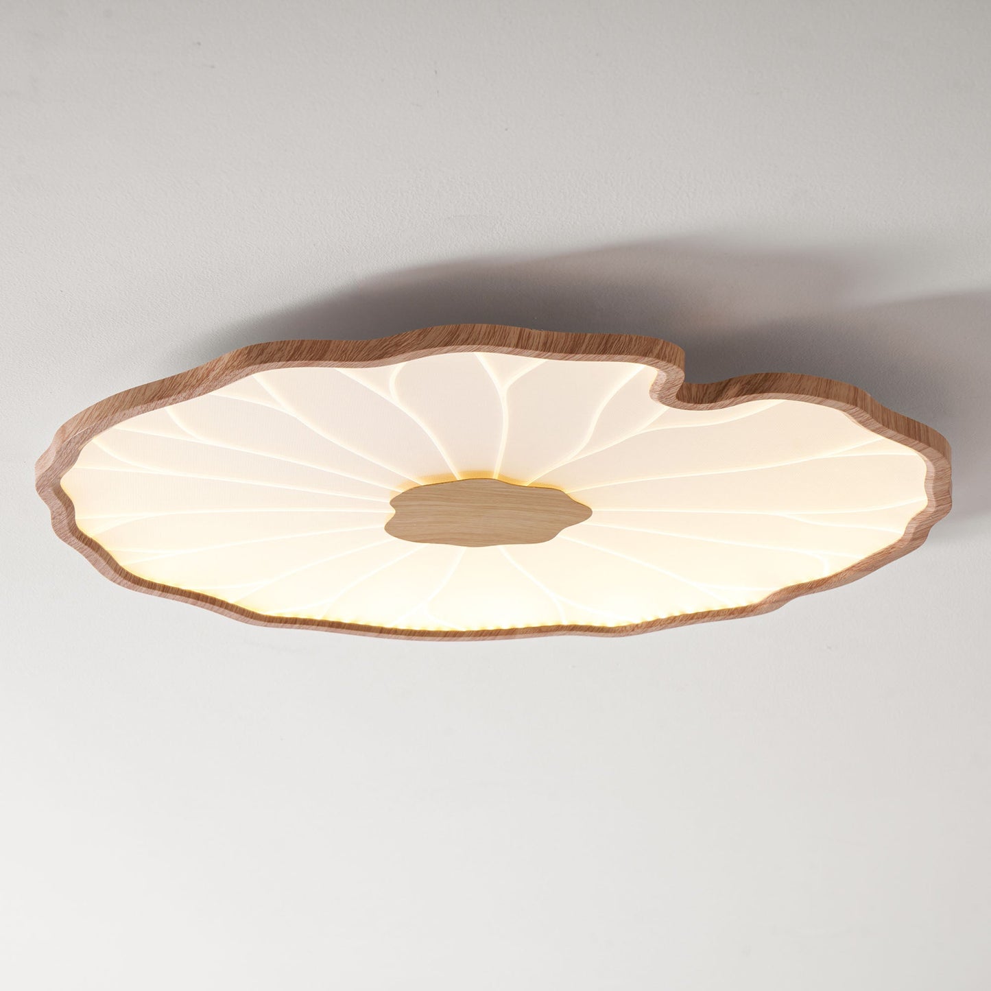 Organic Curve Ceiling Light
