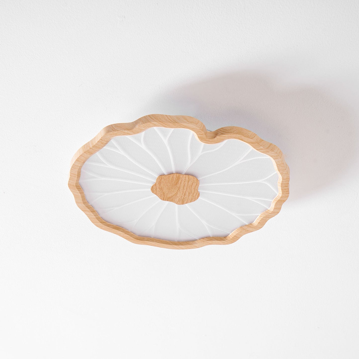 Organic Curve Ceiling Light