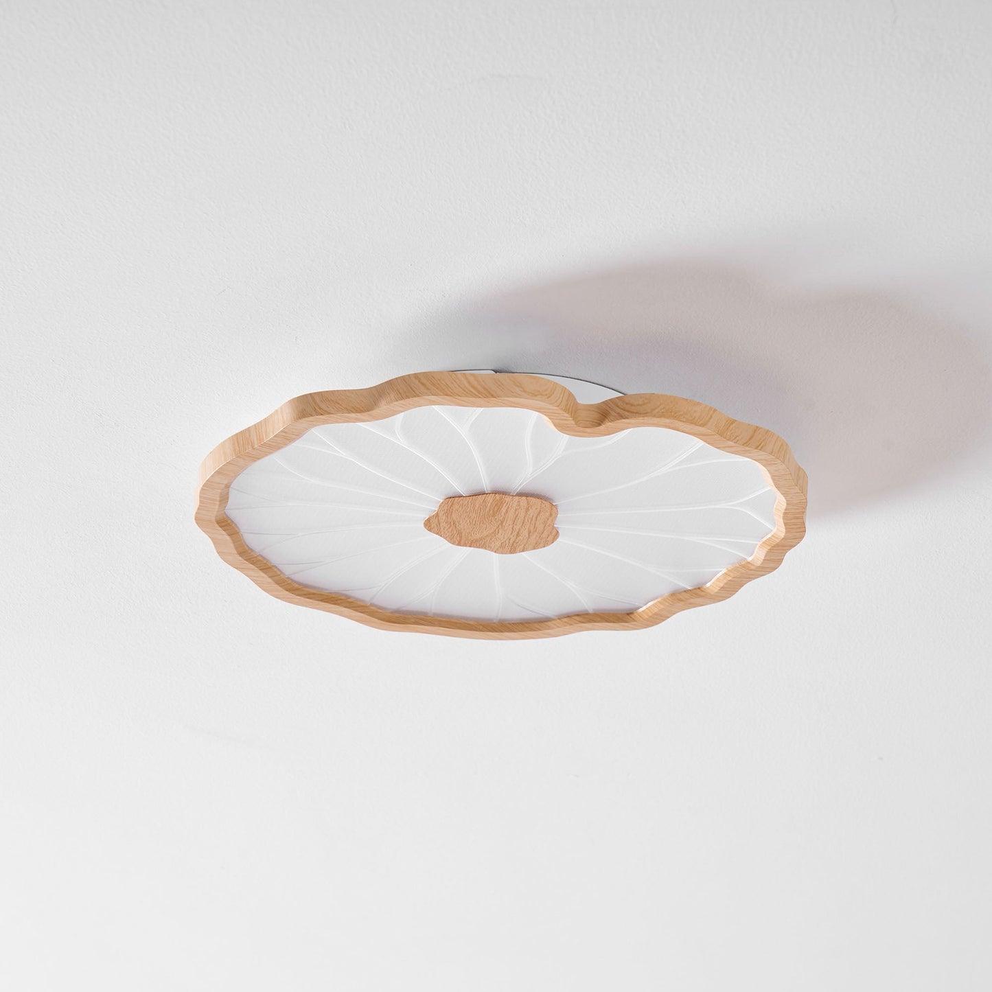 Organic Curve Ceiling Light