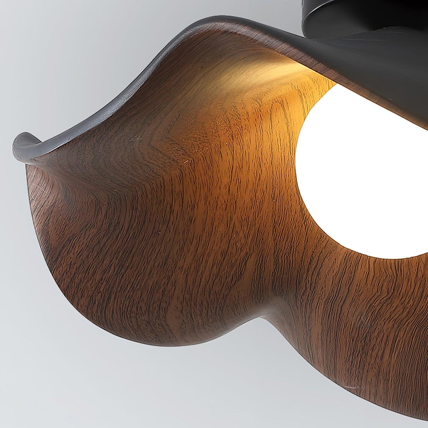 Petal Curve Ceiling Light
