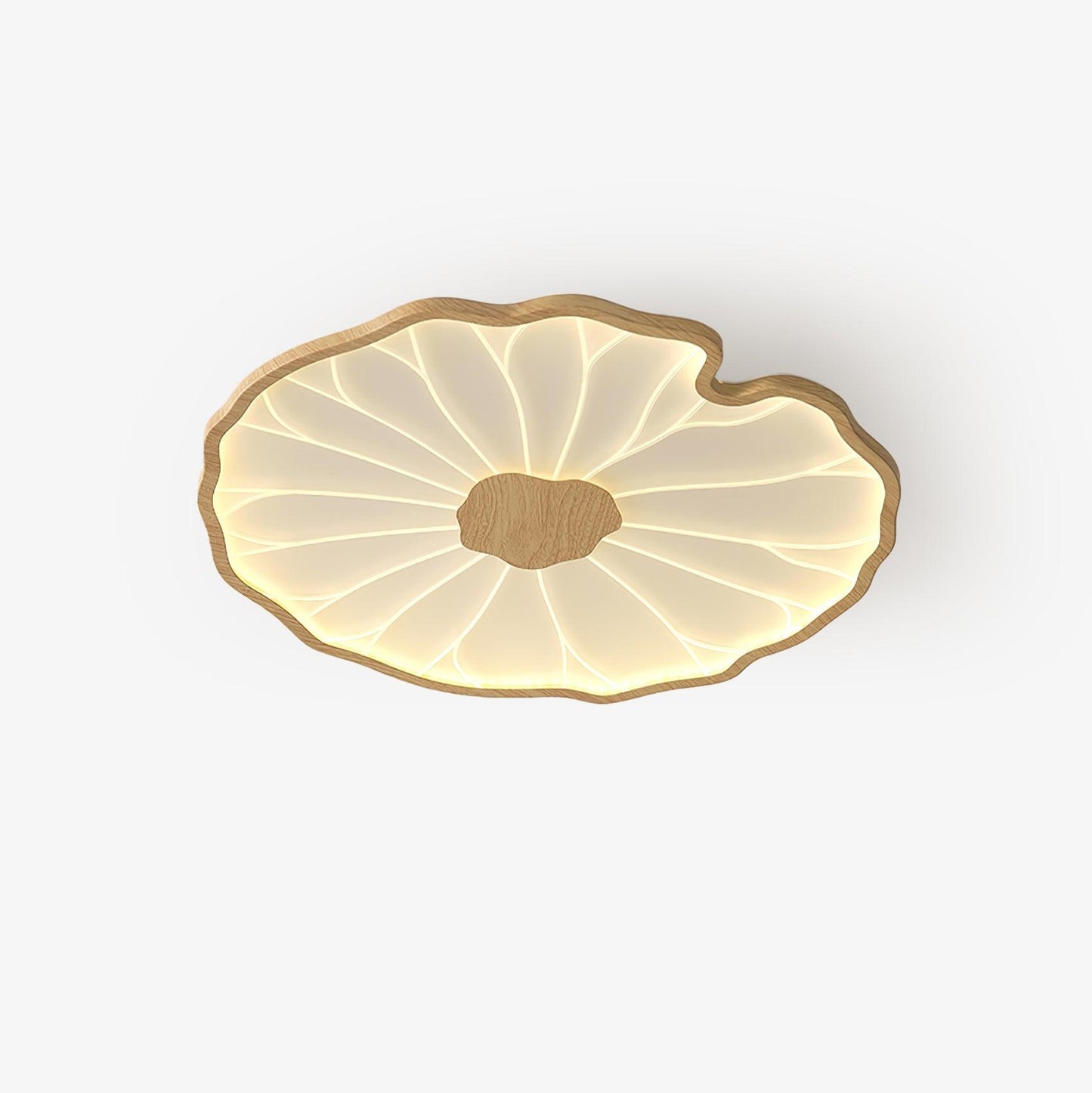 Organic Curve Ceiling Light