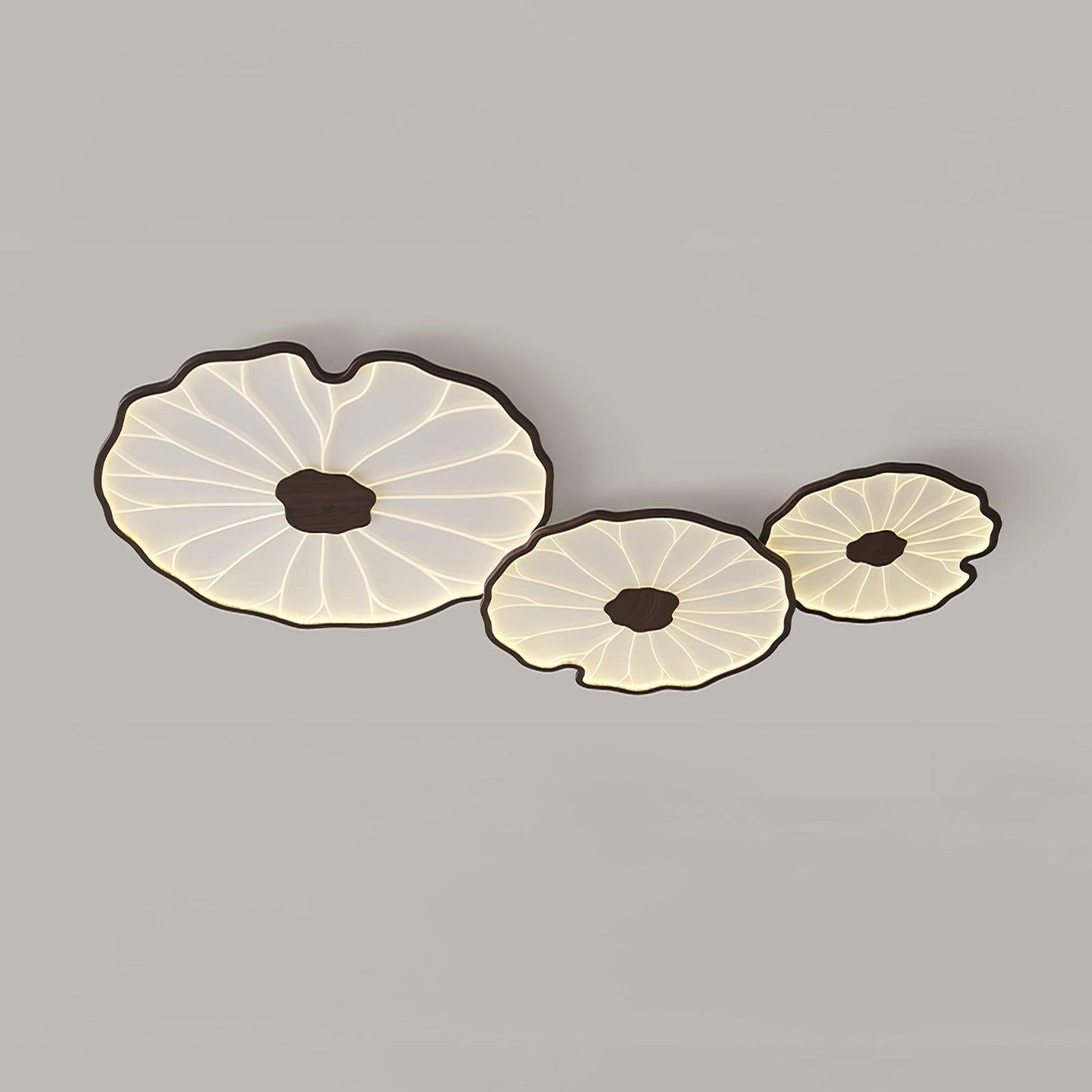 Organic Curve Ceiling Light