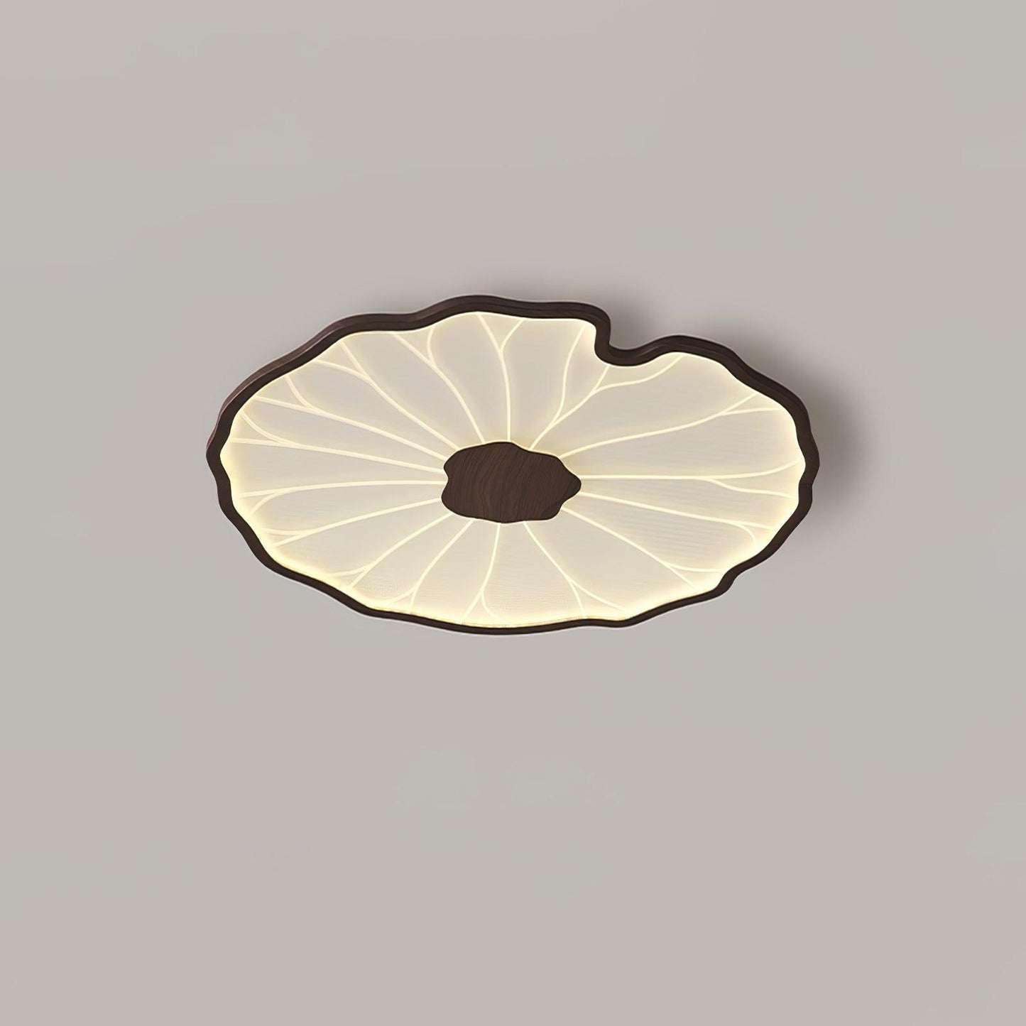 Organic Curve Ceiling Light