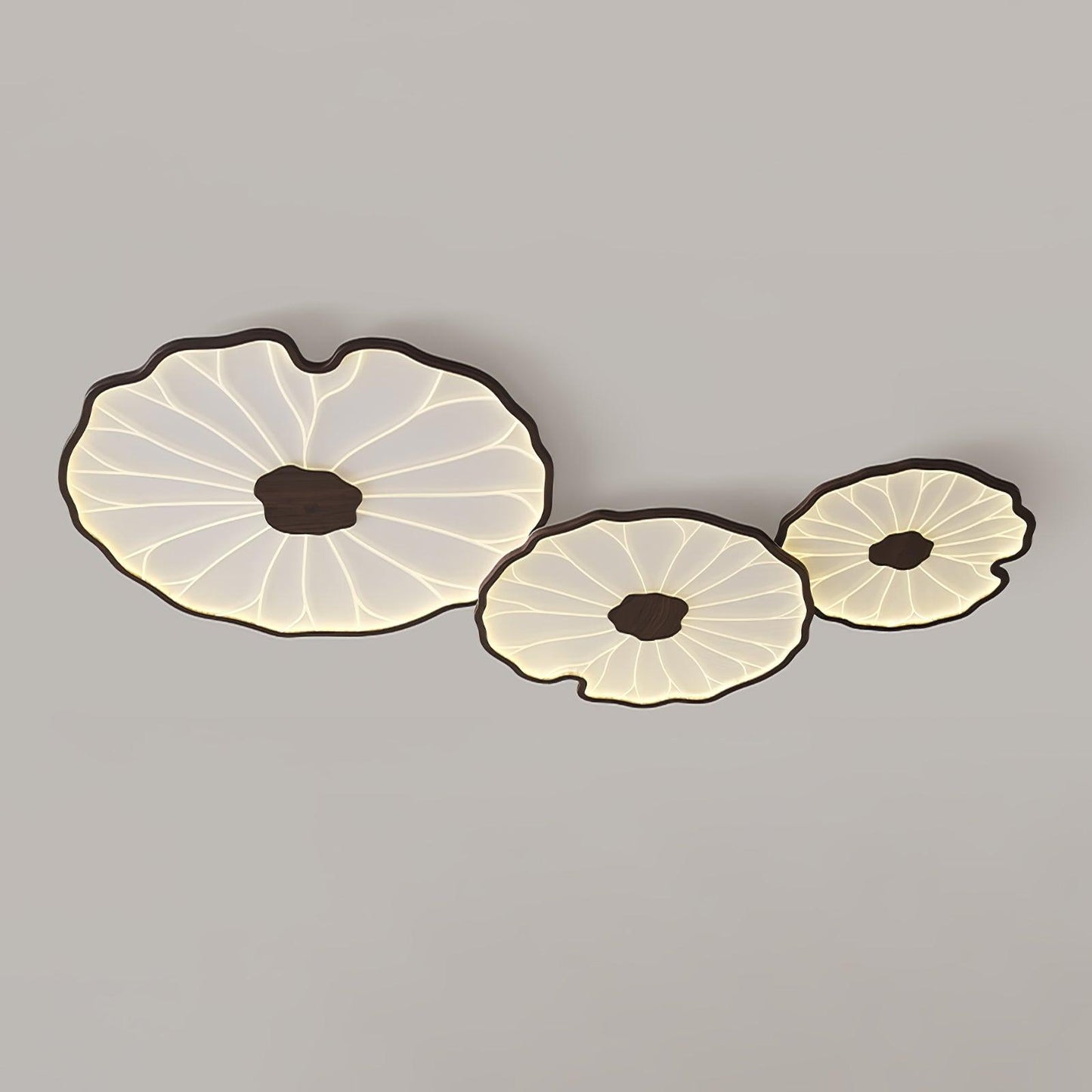 Organic Curve Ceiling Light
