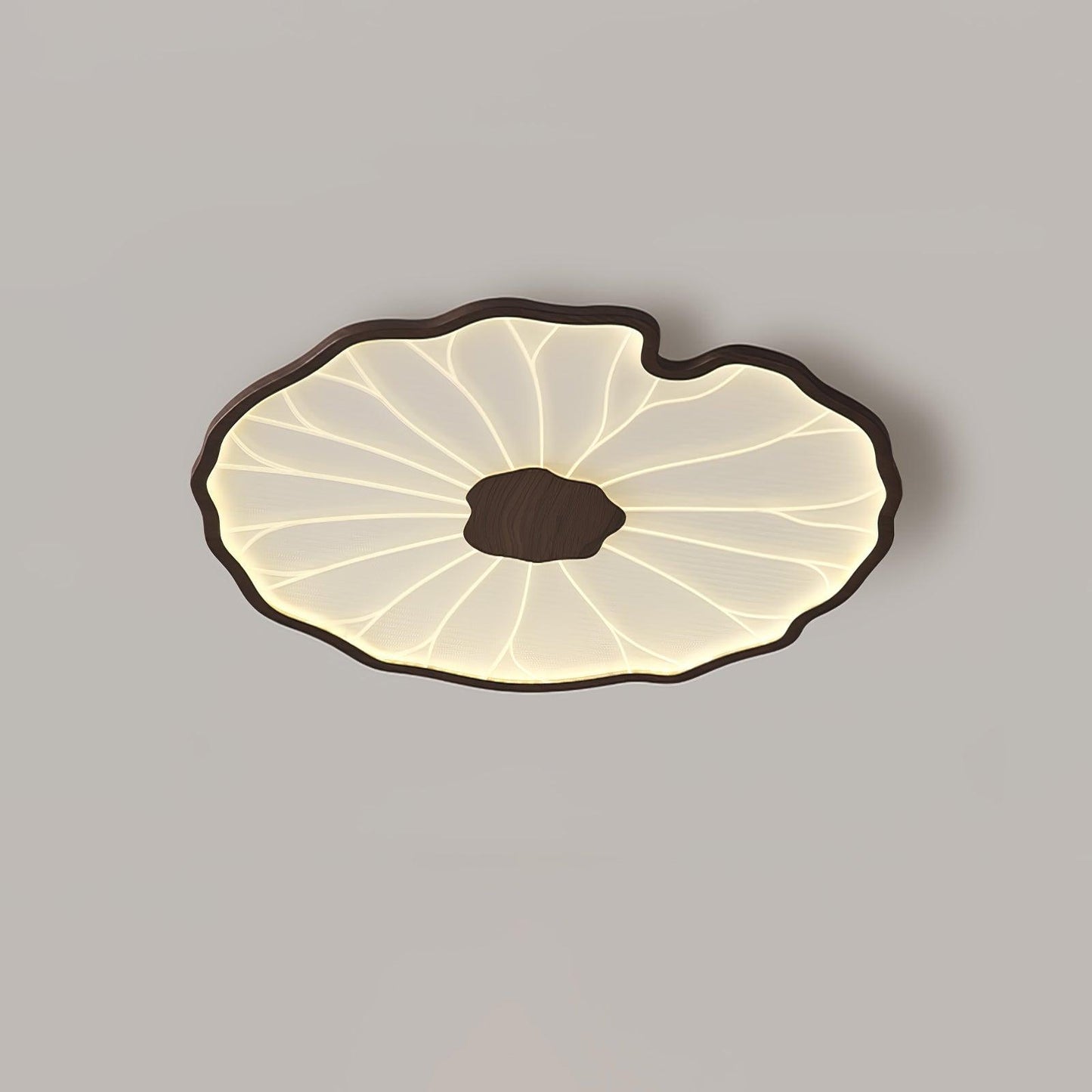 Organic Curve Ceiling Light