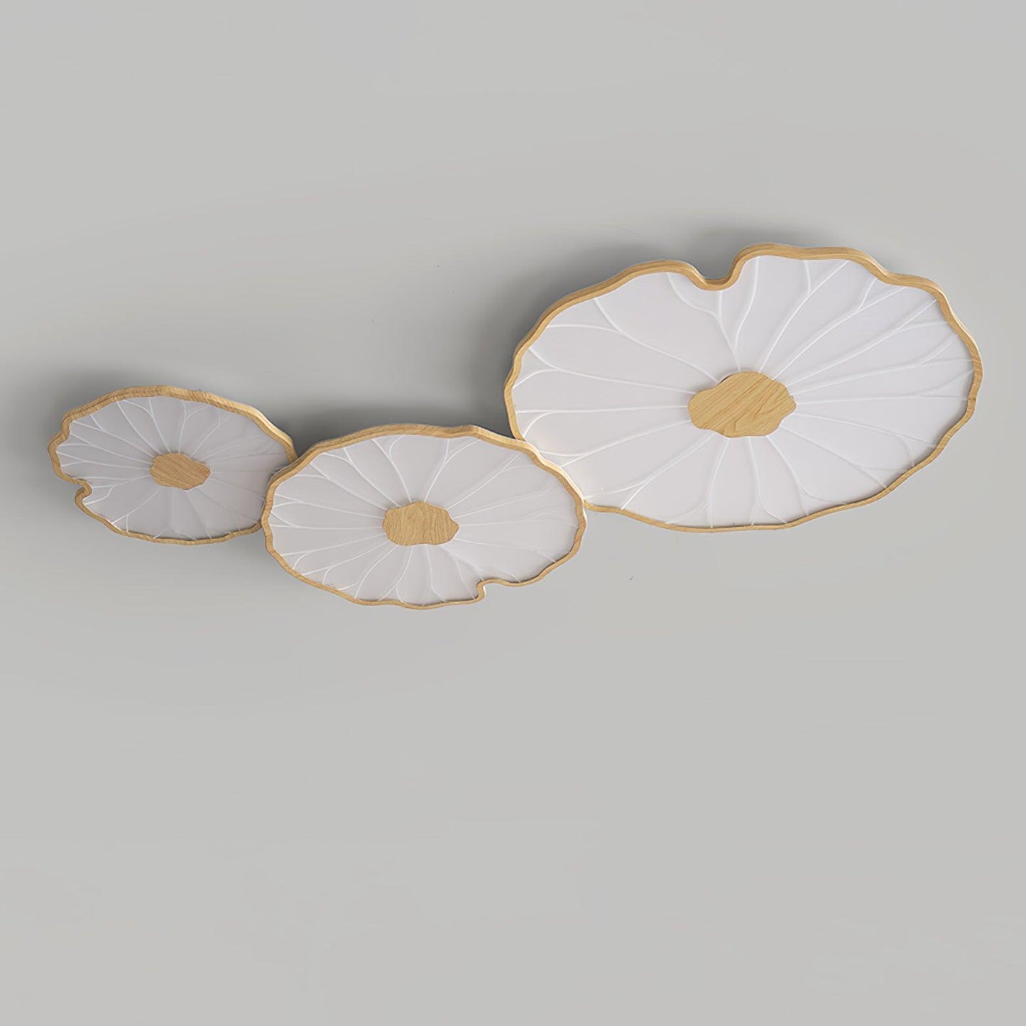 Organic Curve Ceiling Light