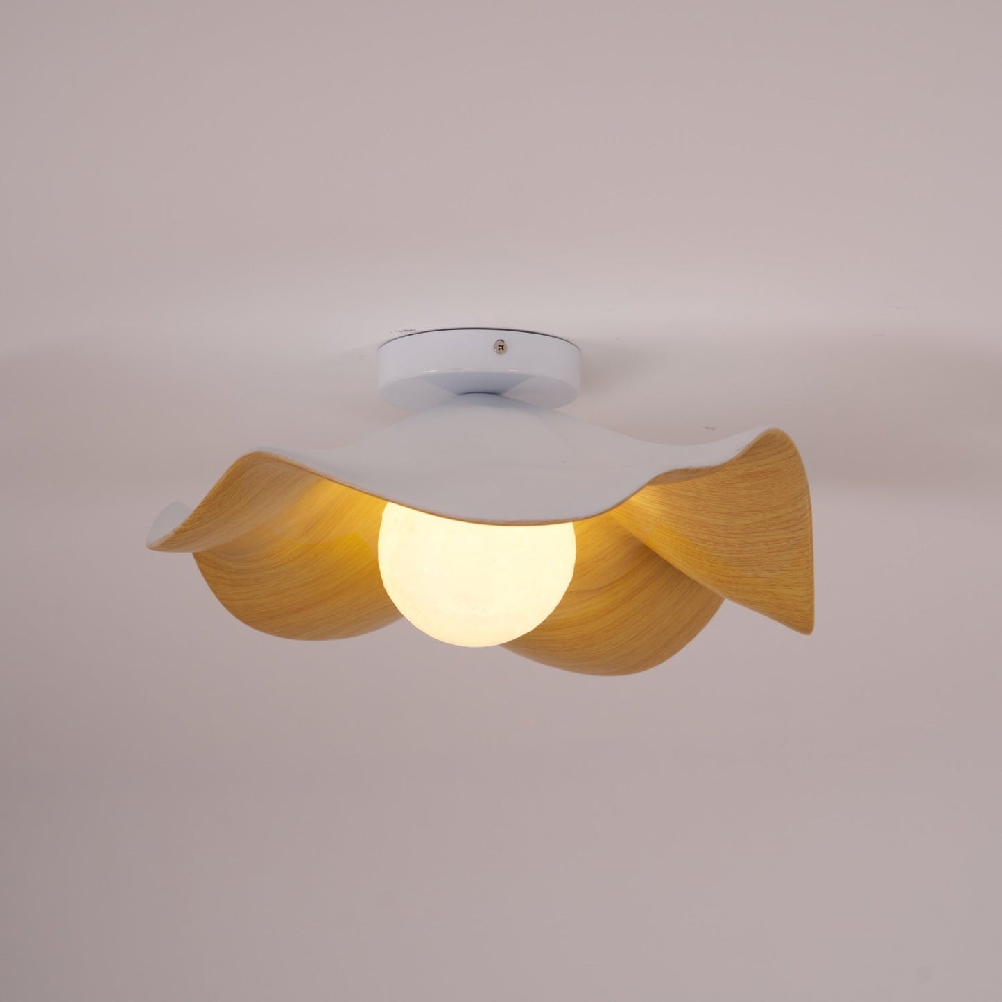 Petal Curve Ceiling Light