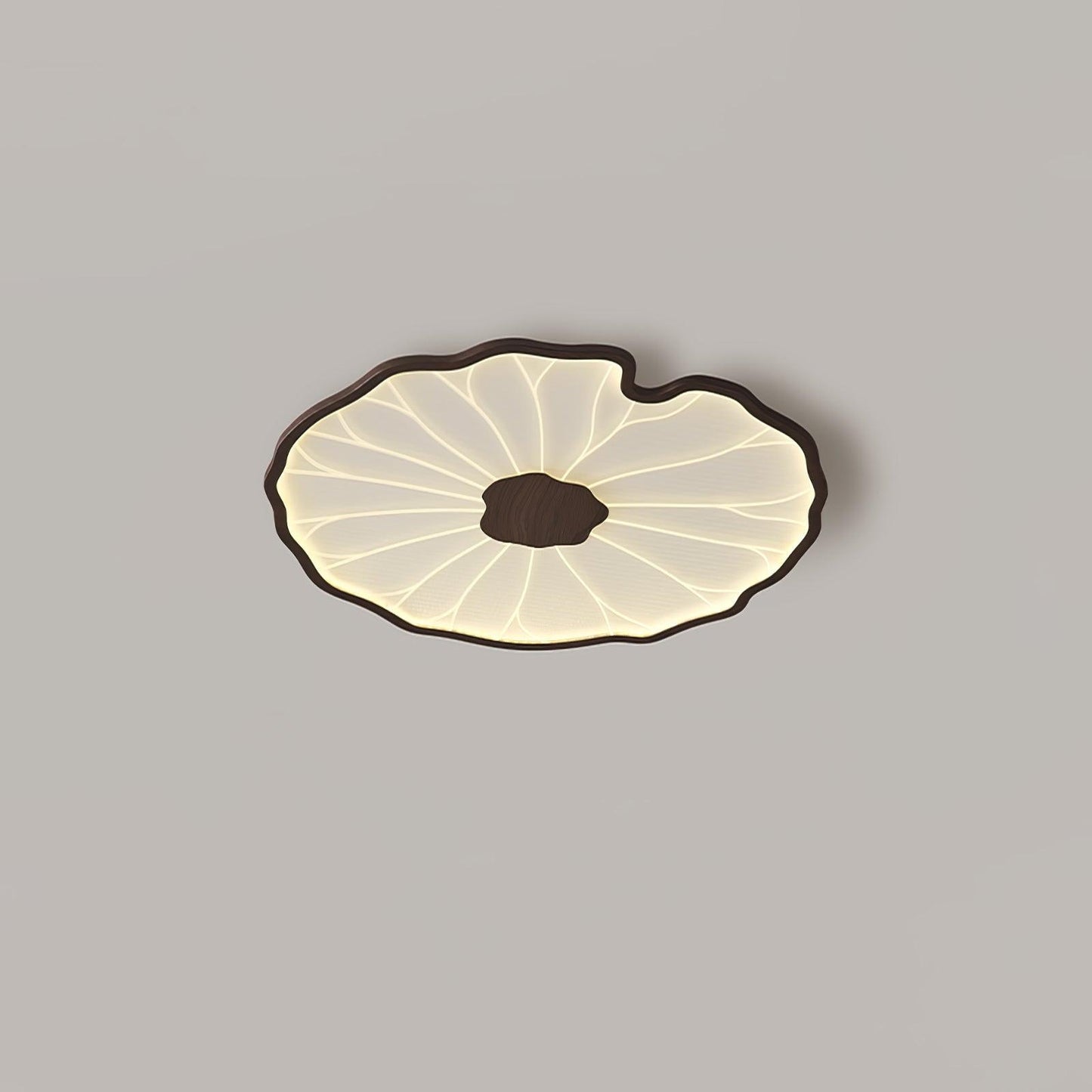 Organic Curve Ceiling Light