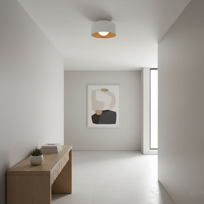 Orbital Glow Ceiling Light