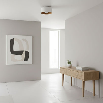 Orbital Glow Ceiling Light