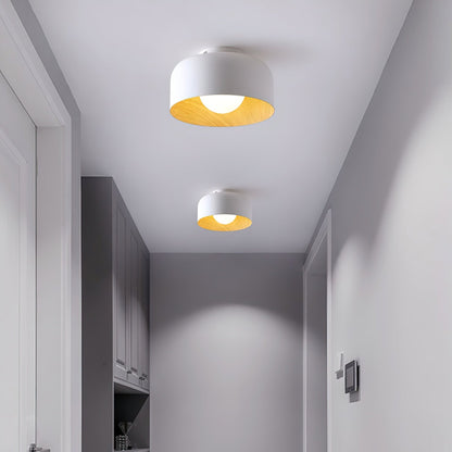 Orbital Glow Ceiling Light