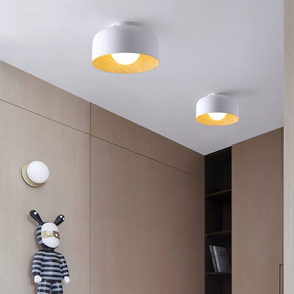 Orbital Glow Ceiling Light