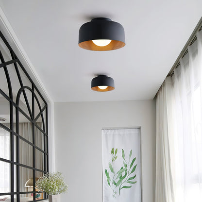 Orbital Glow Ceiling Light