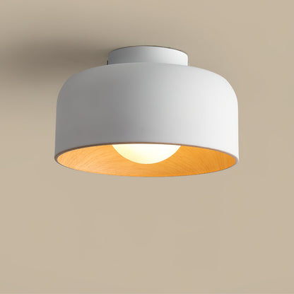 Orbital Glow Ceiling Light