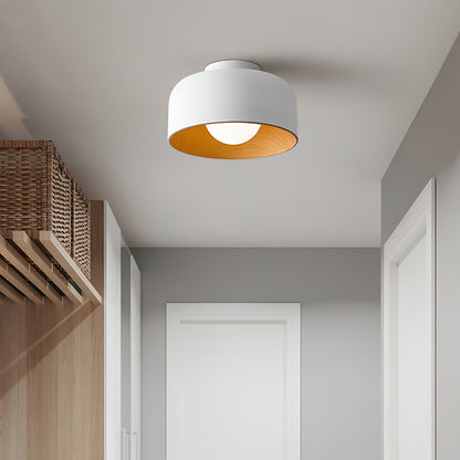 Orbital Glow Ceiling Light