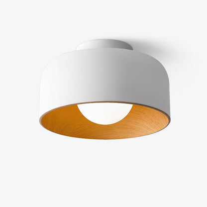Orbital Glow Ceiling Light