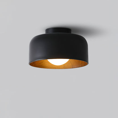 Orbital Glow Ceiling Light