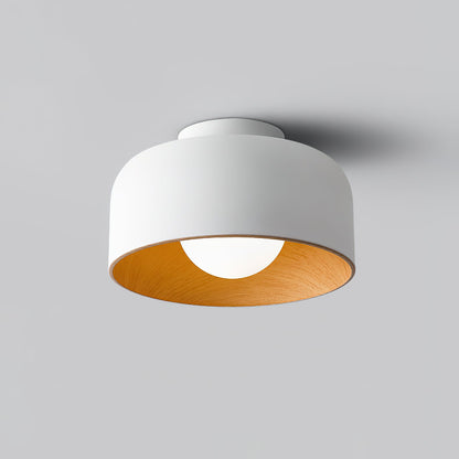 Orbital Glow Ceiling Light