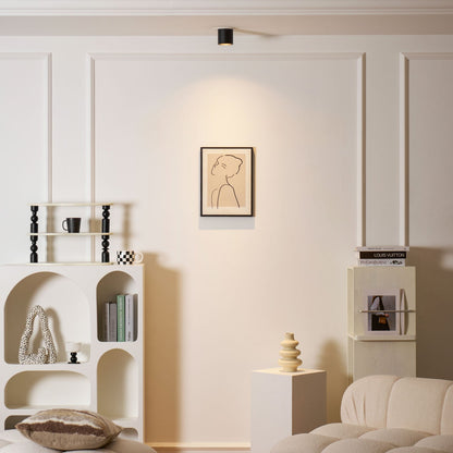 Ridge Point Ceiling Light