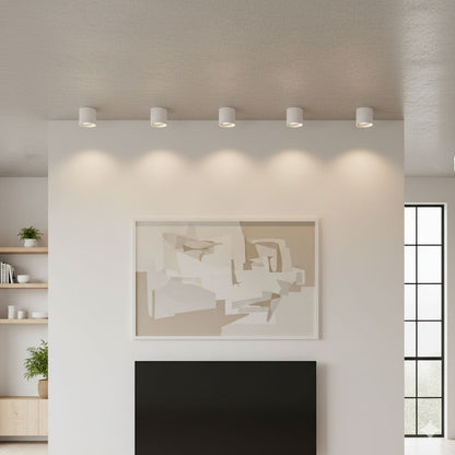 Ridge Point Ceiling Light