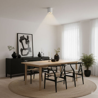 Ridge Point Ceiling Light