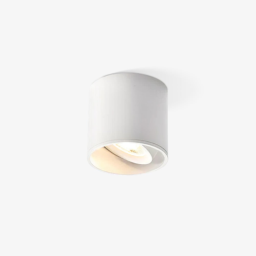 Ridge Point Ceiling Light