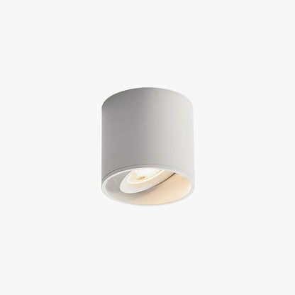 Ridge Point Ceiling Light