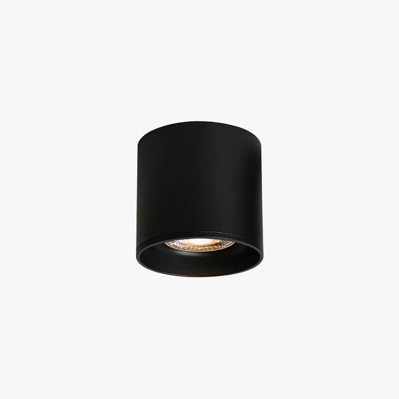 Ridge Point Ceiling Light