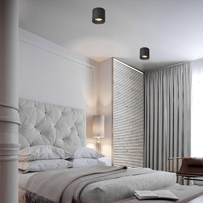 Ridge Point Ceiling Light