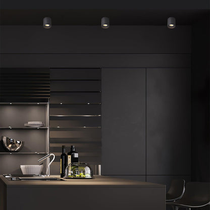 Ridge Point Ceiling Light