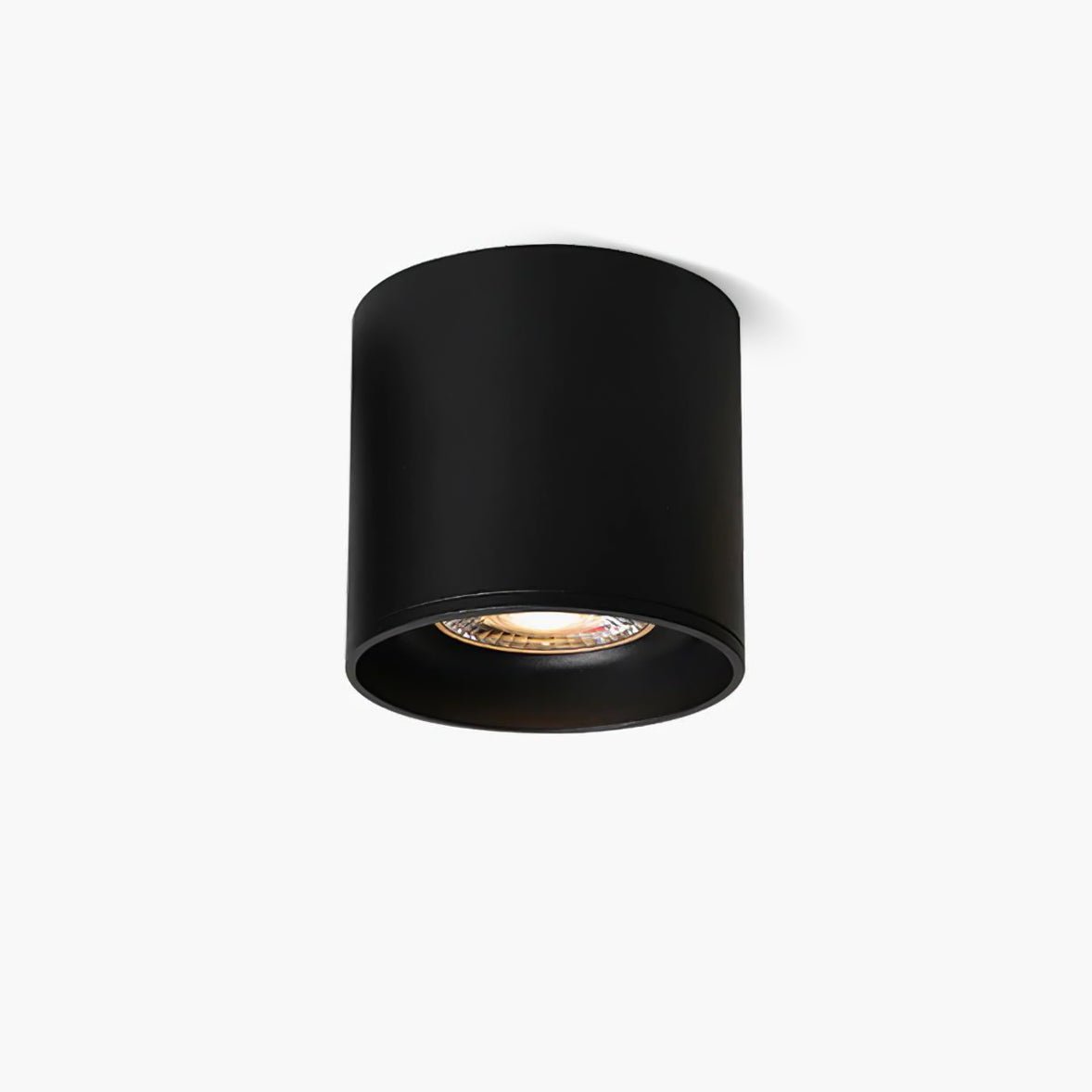 Ridge Point Ceiling Light