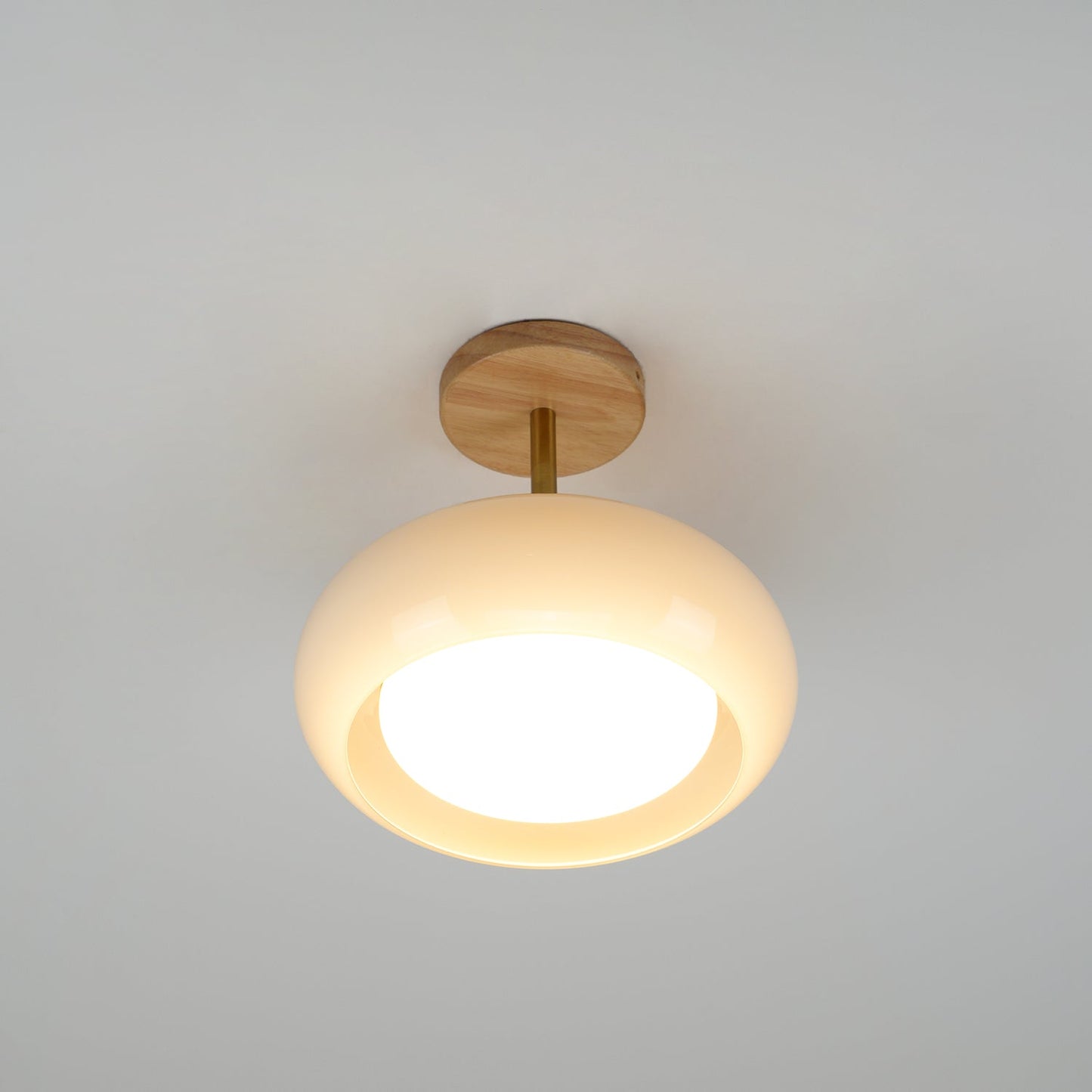 Bauhaus Disc Ceiling Light
