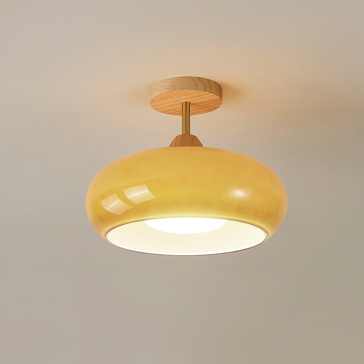 Bauhaus Disc Ceiling Light