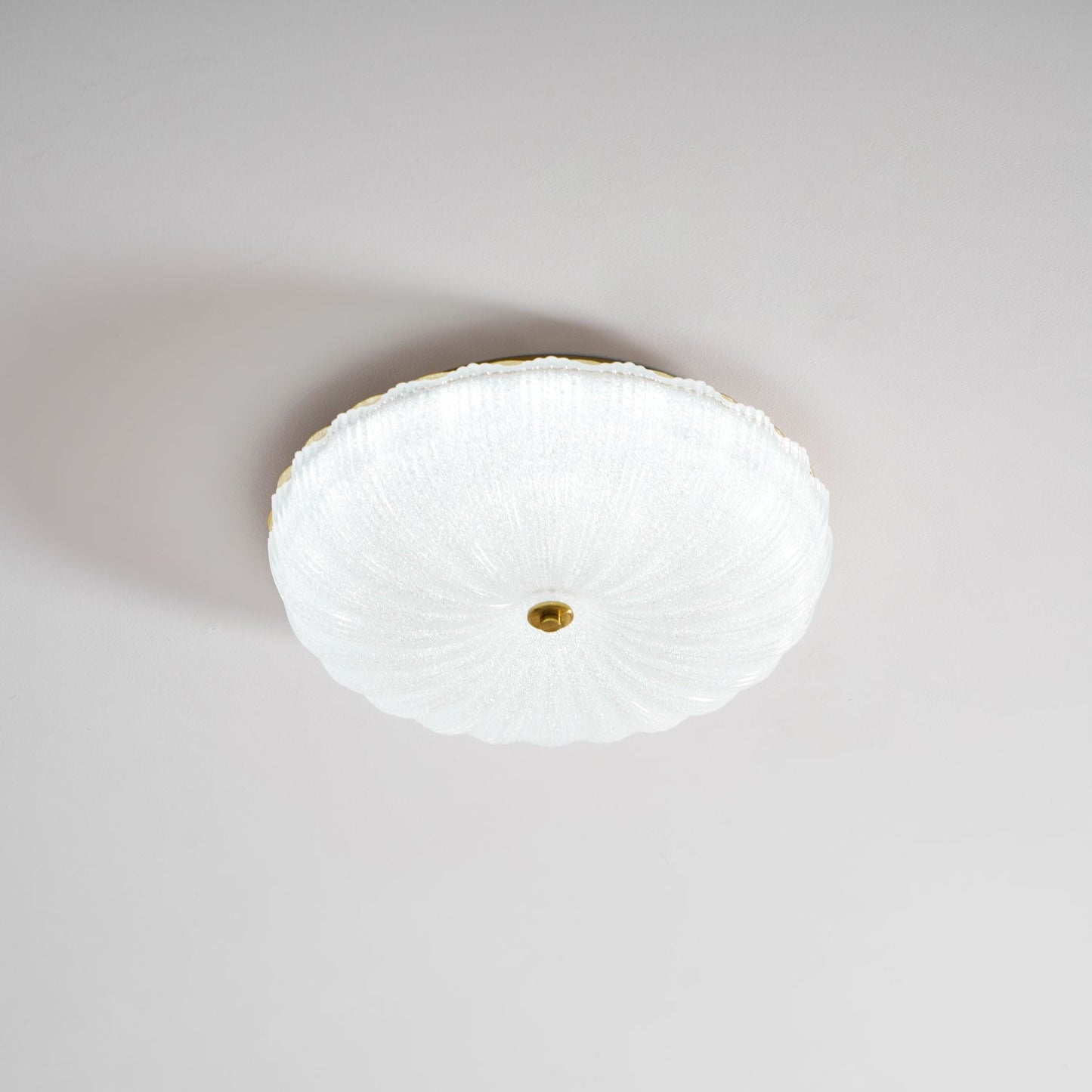 Frosted Ceiling Light