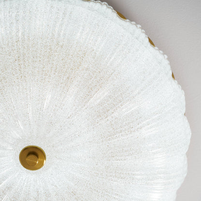 Frosted Ceiling Light