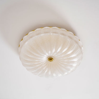 Frosted Ceiling Light