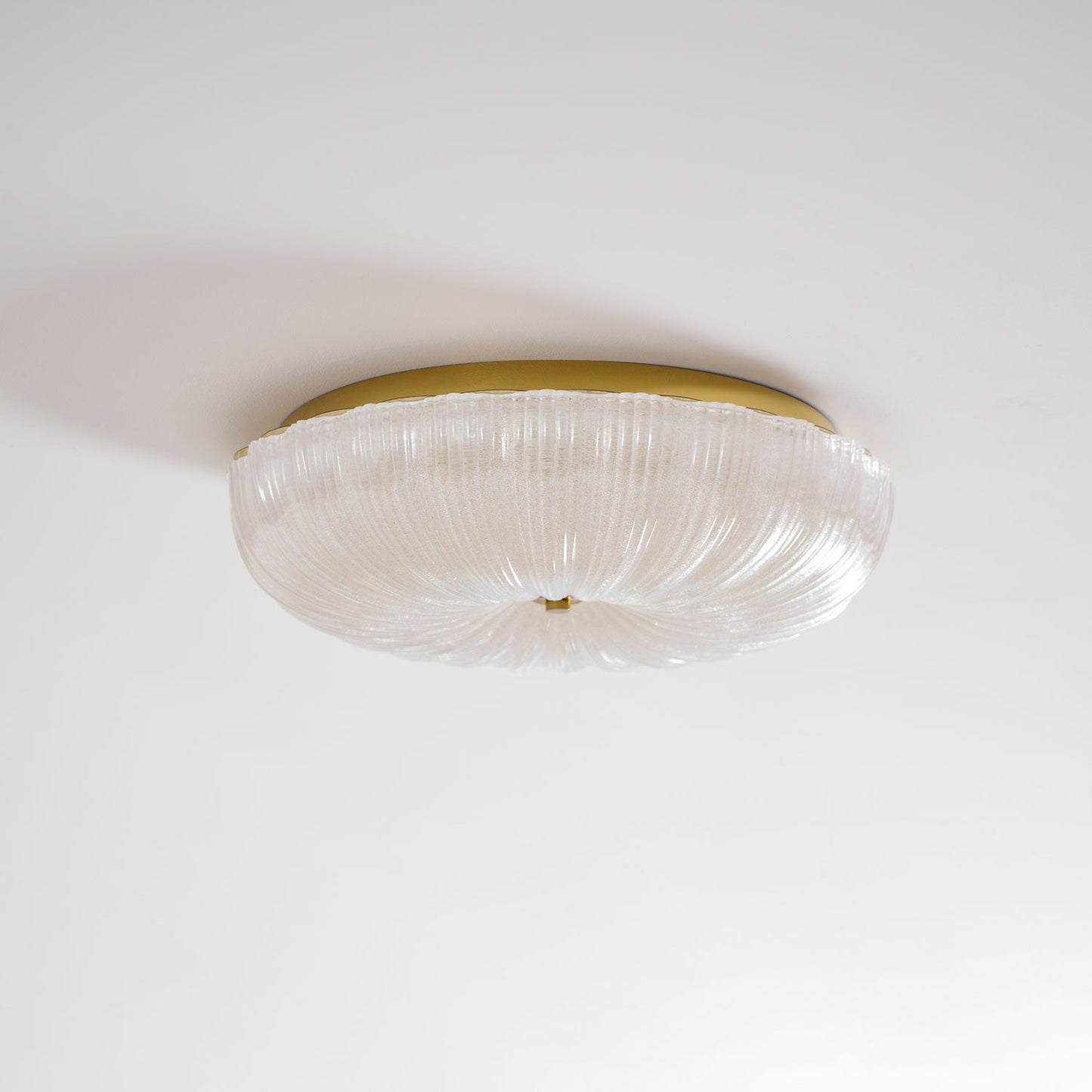 Frosted Ceiling Light