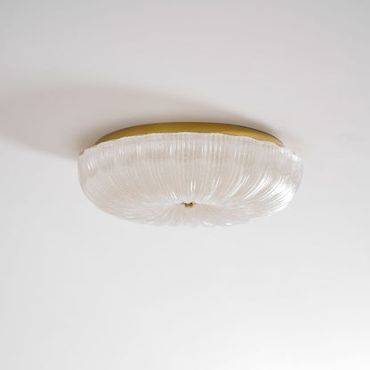 Frosted Ceiling Light