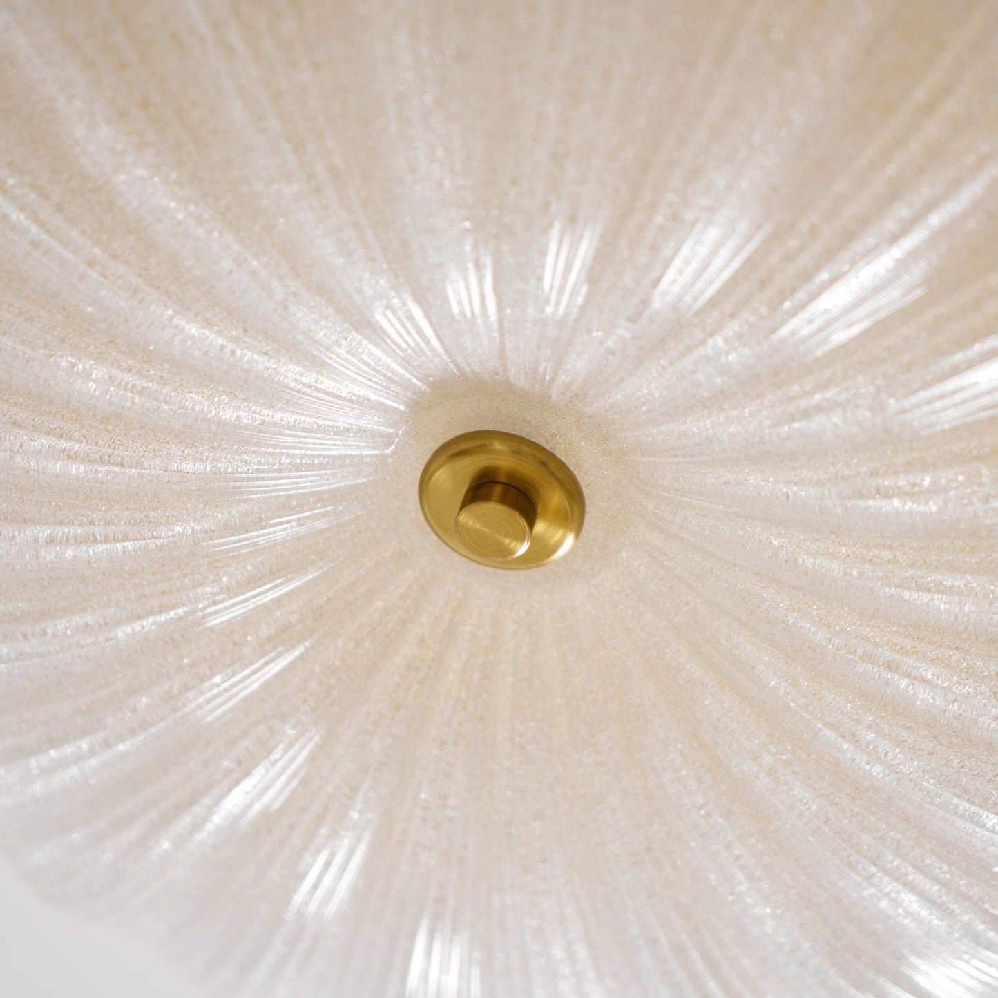Frosted Ceiling Light